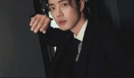 刘大锤爆料黄子韬视频,幕后真相引热议