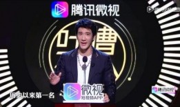 王力宏哥哥爆料视频,揭秘王力宏背后鲜为人知的家庭故事