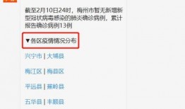 梅州最新爆料消息疫情,揭秘病毒传播轨迹与防控措施”
