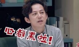 何炅爆料娱乐圈经济公司,利益纠葛与明星生存真相